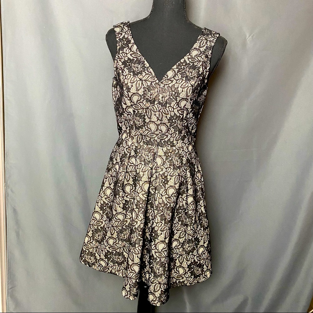 Blue Rain Fit & Flare Lace over Nude Dress size S